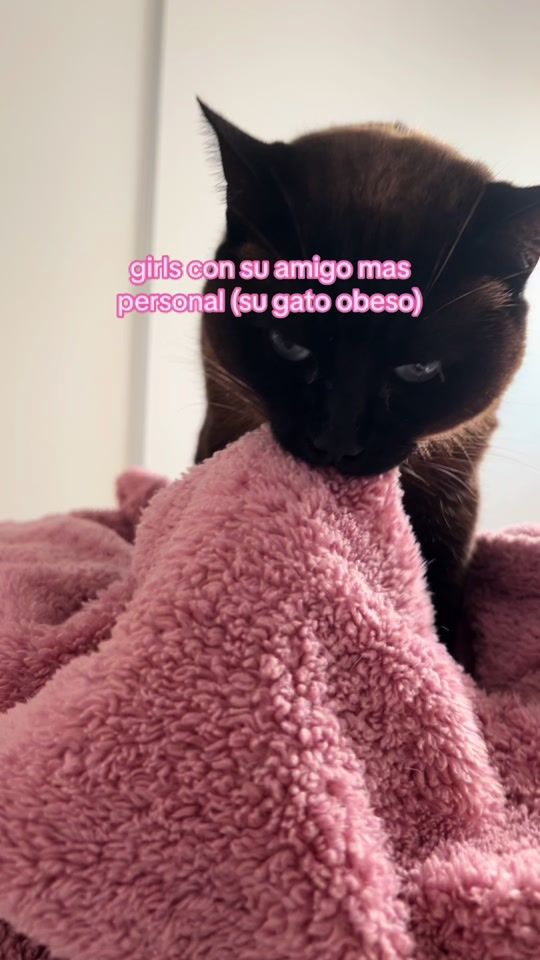 TikTok video thumbnail by mirandadiaazz