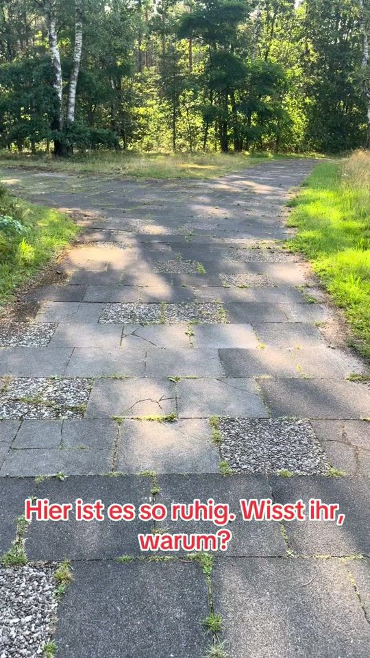 TikTok video thumbnail by angel_290591