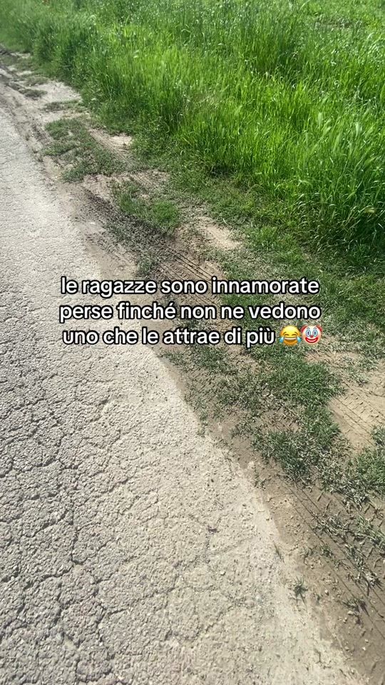 TikTok video thumbnail by lazonedutach1