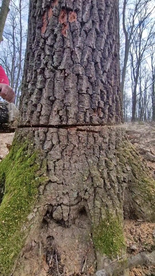 TikTok video thumbnail by yoni5250