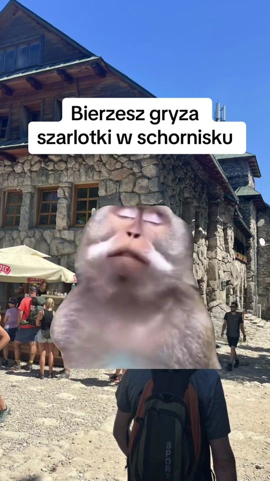 TikTok video thumbnail by traxoria