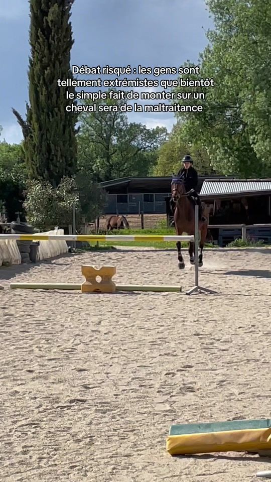 TikTok video thumbnail by ladyepona_ds