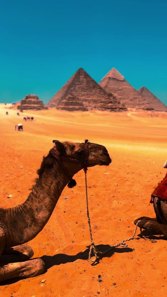 TikTok video thumbnail by cnkclk