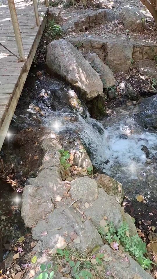 TikTok video thumbnail by encarnabbrr