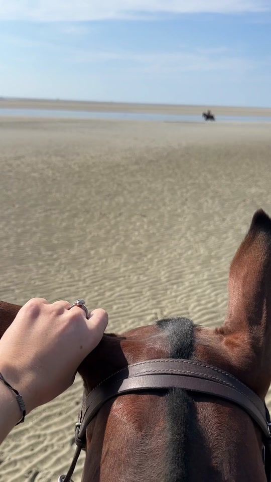 TikTok video thumbnail by equestrian_polojumpers
