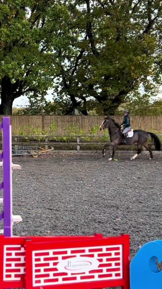 TikTok video thumbnail by gabriellaadambrosio