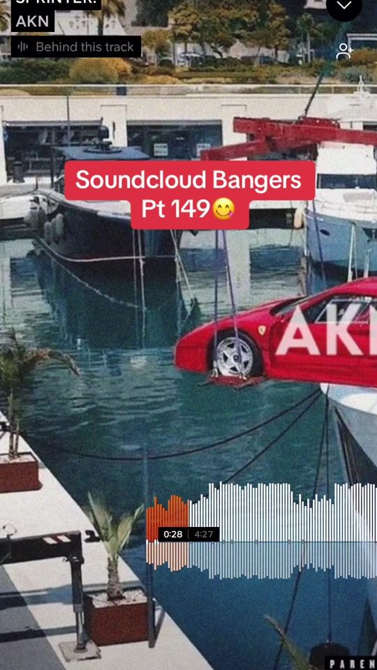 TikTok video thumbnail by r.rated_tunes