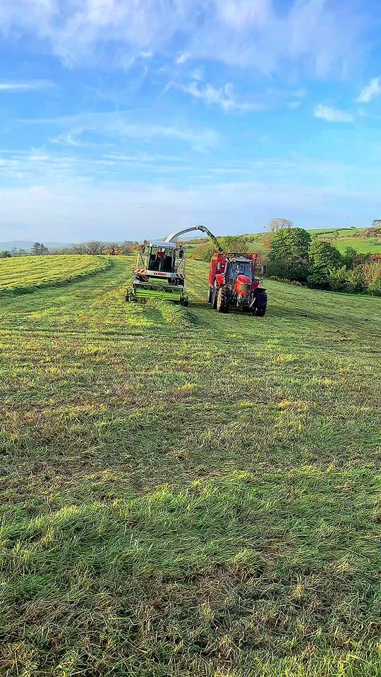 TikTok video thumbnail by lisa7470