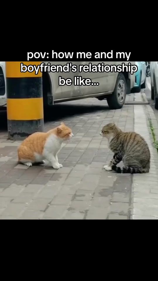 TikTok video thumbnail by the_relationship_memes