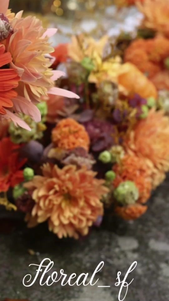 TikTok video thumbnail by floreal_sf