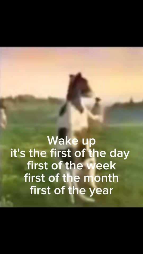TikTok video thumbnail by 2p.i.r