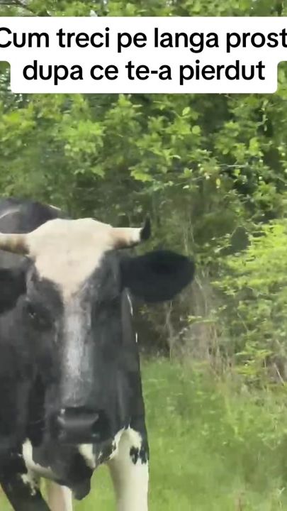 TikTok video thumbnail by caracatitagalbena