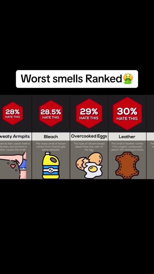 TikTok video thumbnail by clipit813