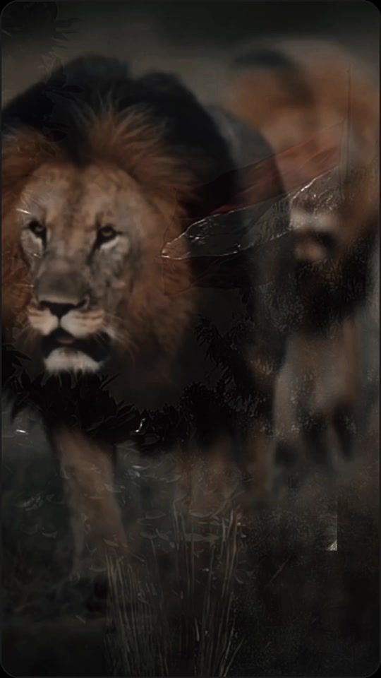 TikTok video thumbnail by world_nadia
