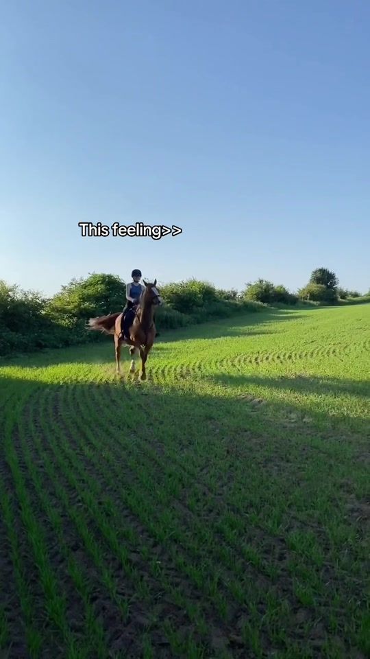 TikTok video thumbnail by harriet_v3