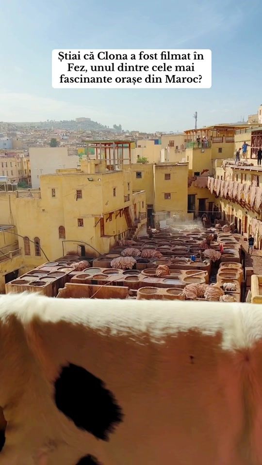 TikTok video thumbnail by siltrips