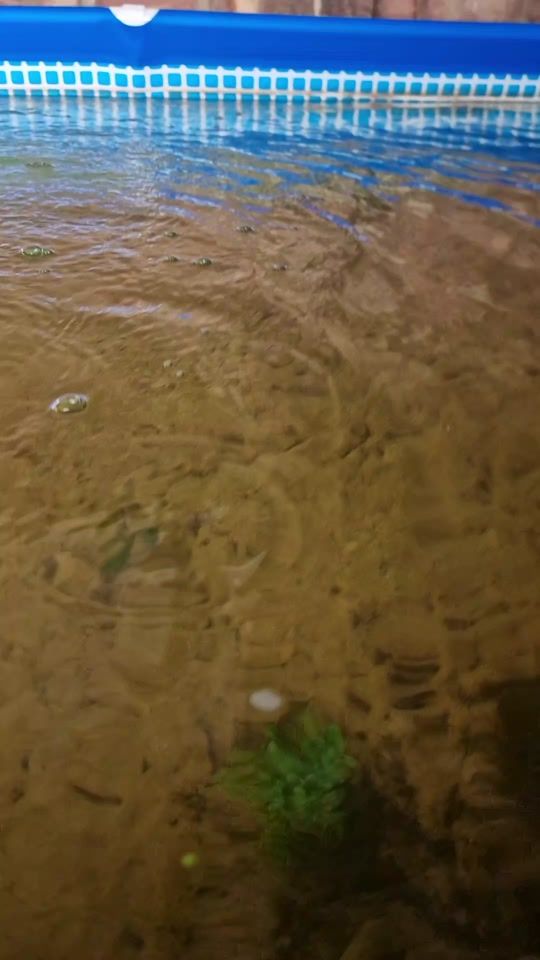 TikTok video thumbnail by paul.pond