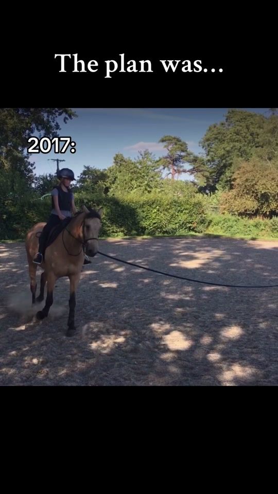 TikTok video thumbnail by bellastevens.eventing