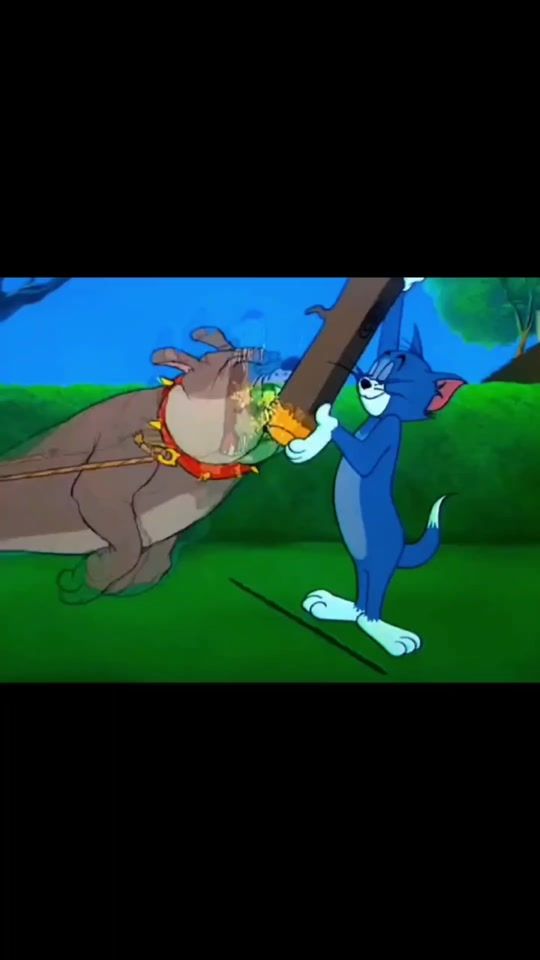 TikTok video thumbnail by mihamihaela053