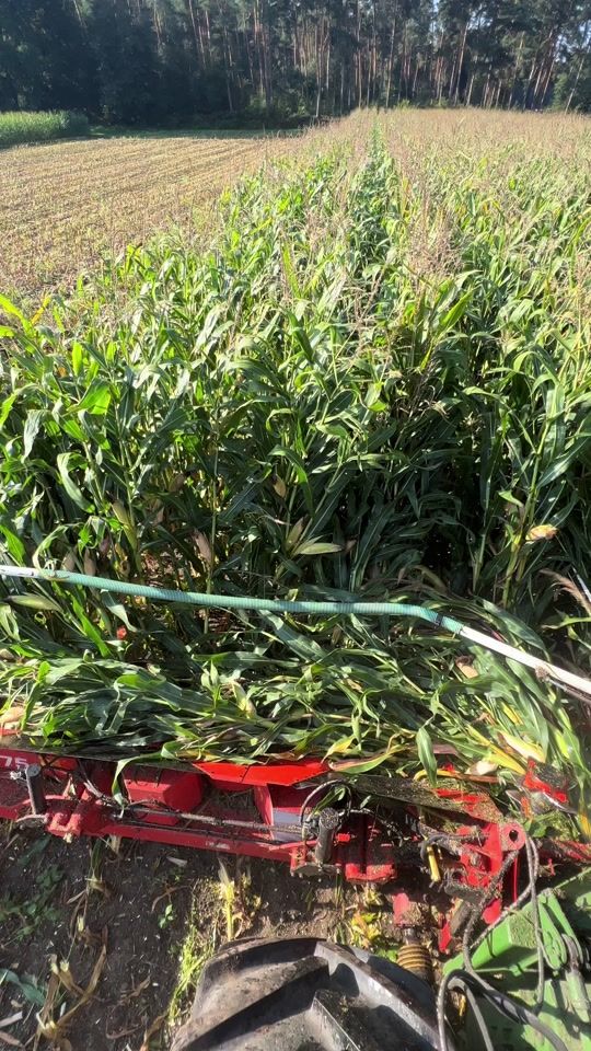 TikTok video thumbnail by florianl01