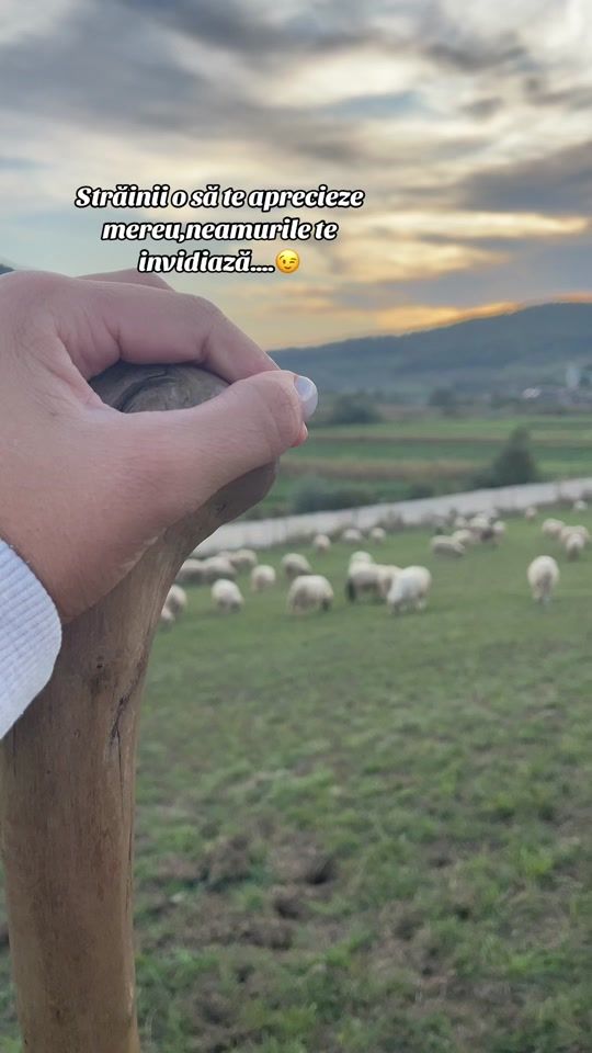 TikTok video thumbnail by agro.deni28