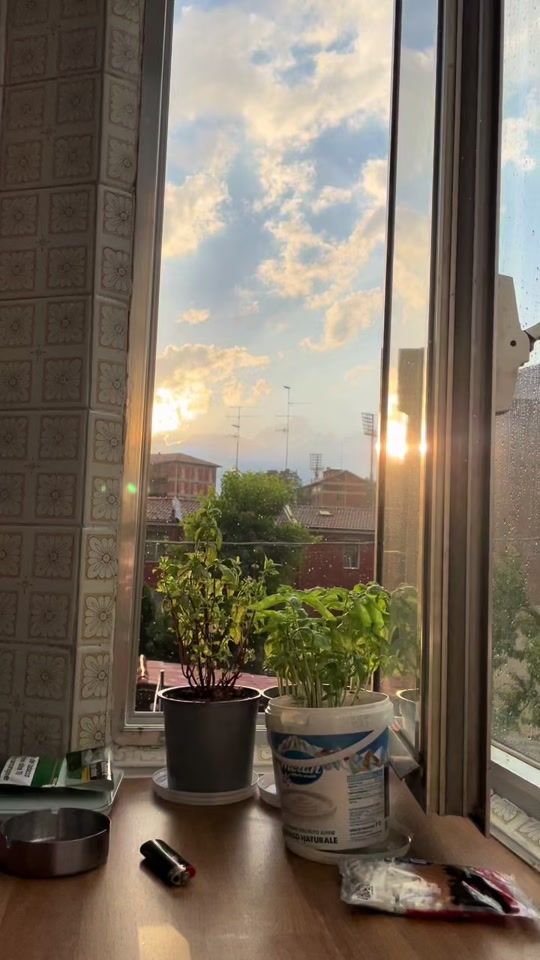 TikTok video thumbnail by bombara_