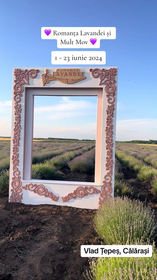 TikTok video thumbnail by romantalavandeicalarasi