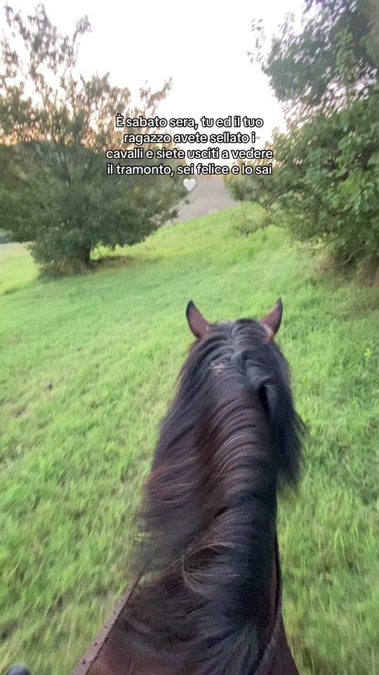 TikTok video thumbnail by serafinivalentina