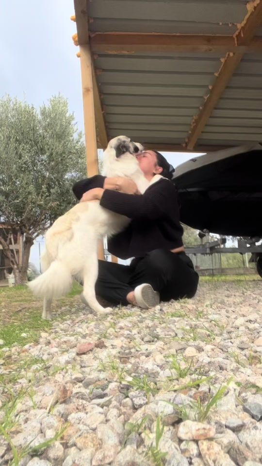 TikTok video thumbnail by stefaniarauti