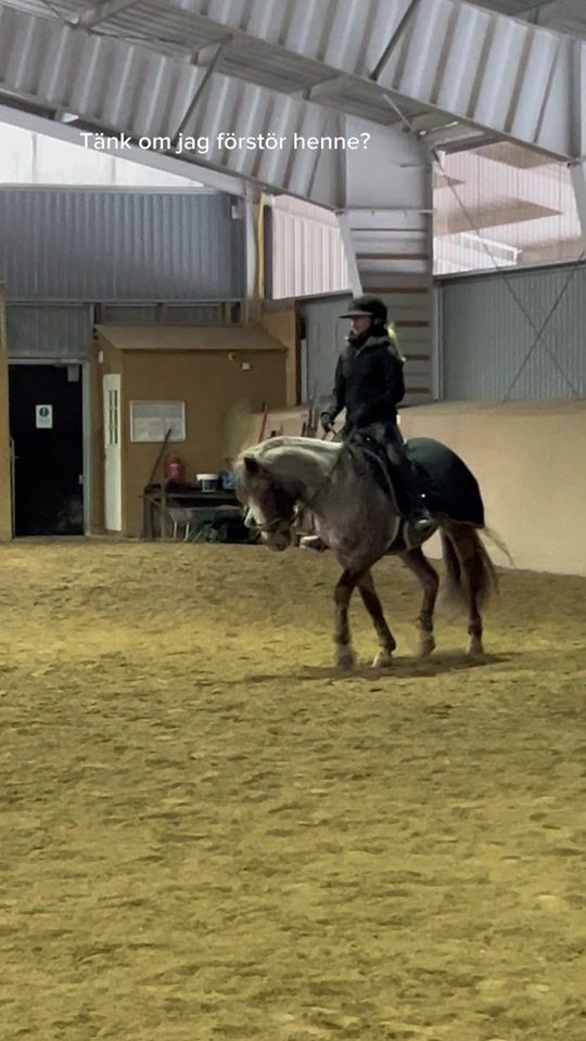 TikTok video thumbnail by equi.lillii