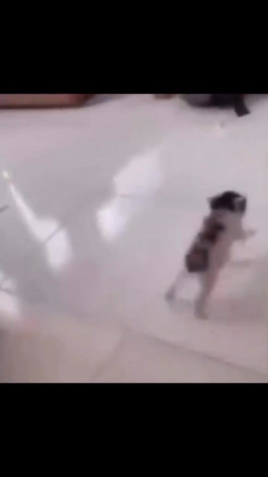 TikTok video thumbnail by luvtheculture