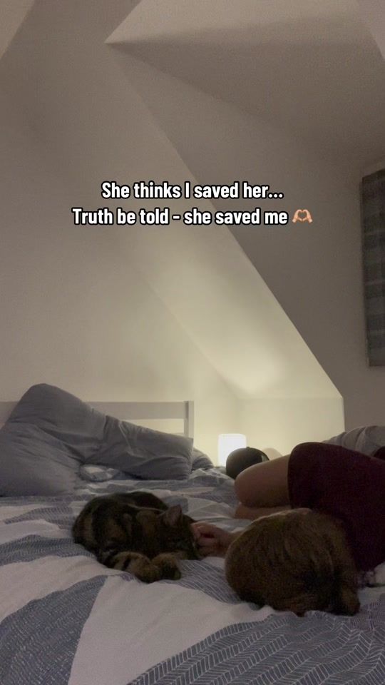 TikTok video thumbnail by babybailey11