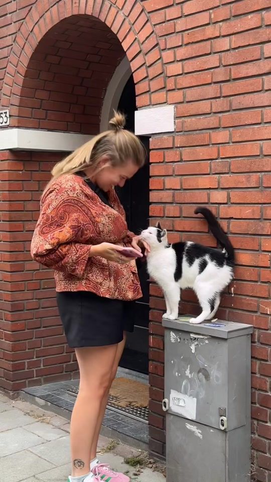 TikTok video thumbnail by nvdw1999