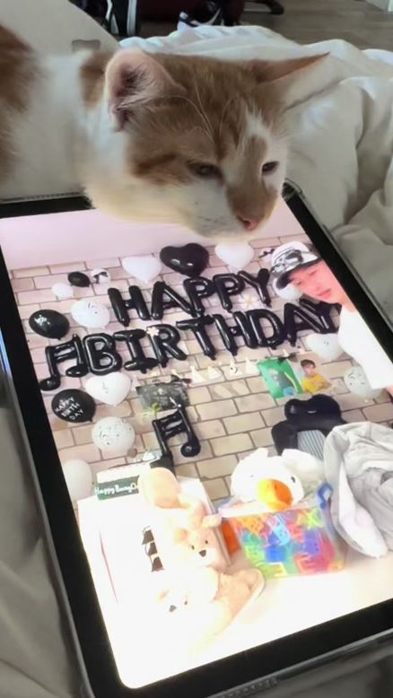 TikTok video thumbnail by hwangryul
