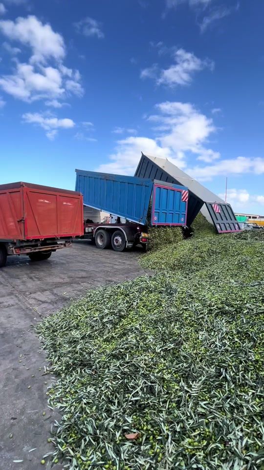 TikTok video thumbnail by savinomarino