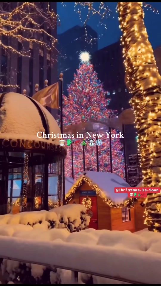 TikTok video thumbnail by teamwork9423