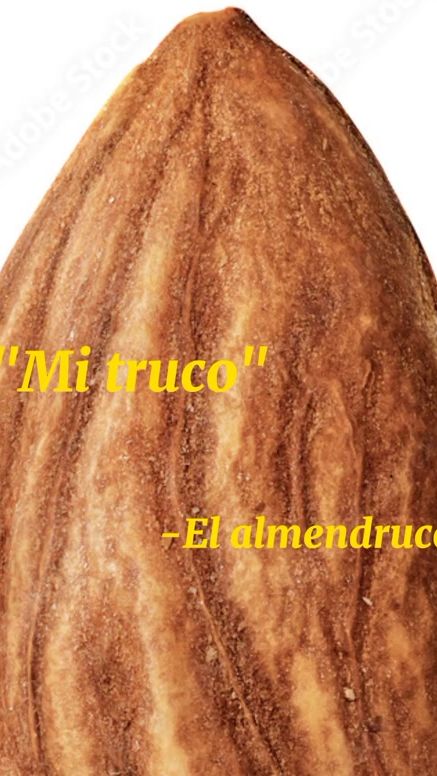 TikTok video thumbnail by tommybalboa123