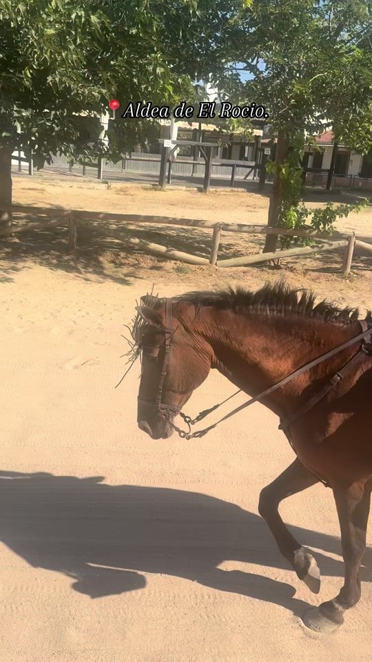 TikTok video thumbnail by laasaarii06