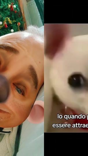 TikTok video thumbnail by angeloscalia02