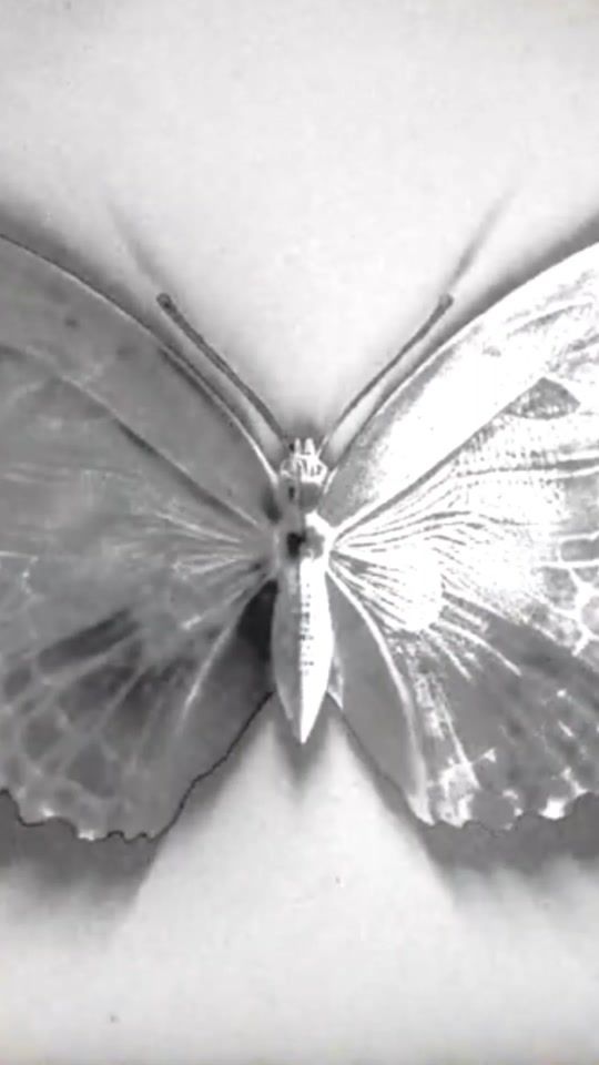 TikTok video thumbnail by marksingx