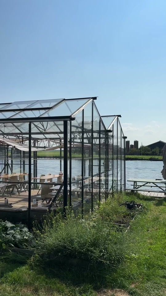 TikTok video thumbnail by dailynonsensenl