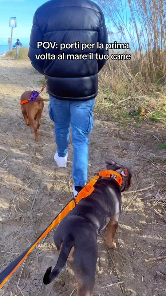 TikTok video thumbnail by uzzlagio