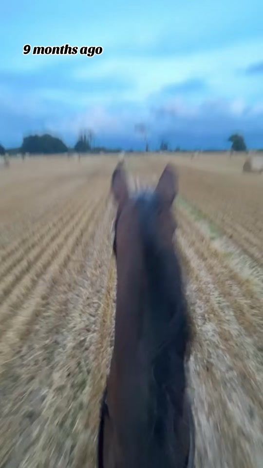 TikTok video thumbnail by summer.wb