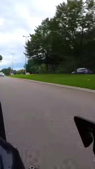 TikTok video thumbnail by ingenvet12369