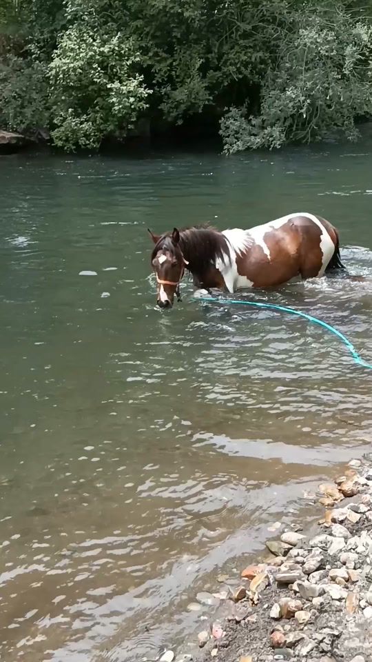 TikTok video thumbnail by yeguadajimenez