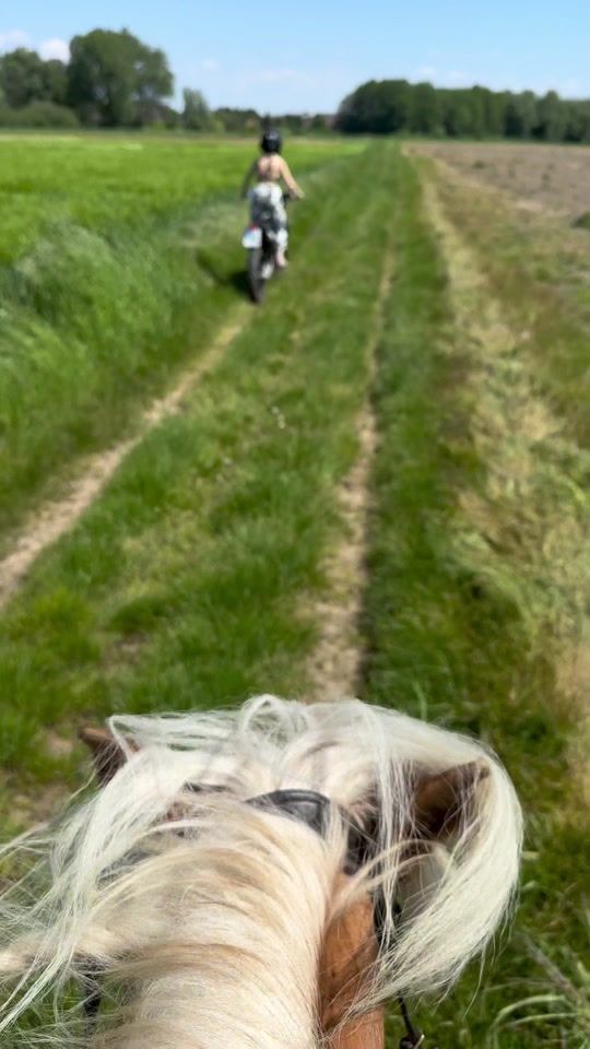 TikTok video thumbnail by suzaan