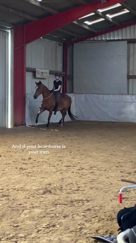 TikTok video thumbnail by equest_ashley