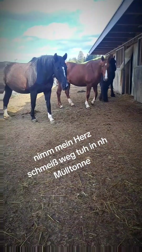 TikTok video thumbnail by laura.26.1