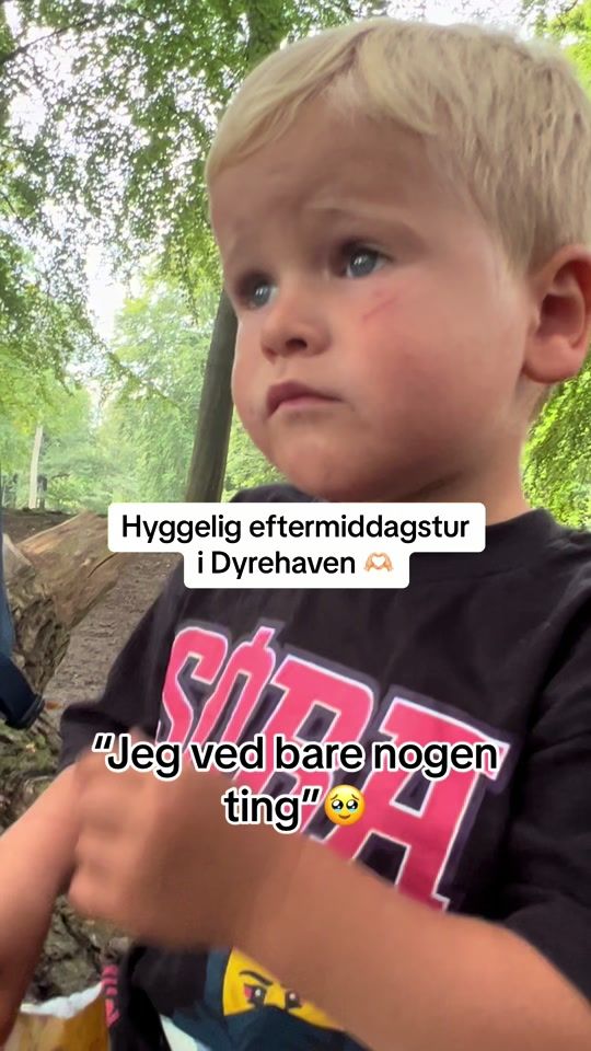 TikTok video thumbnail by trisseomg