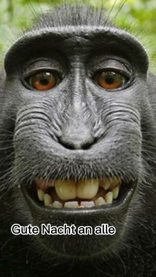 TikTok video thumbnail by nachtianalle